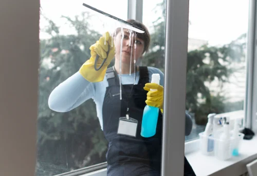 Nettoyage de vitres intérieures et extérieures à Nyer